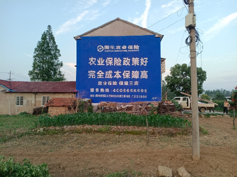 建始墙体广告为何受追捧？